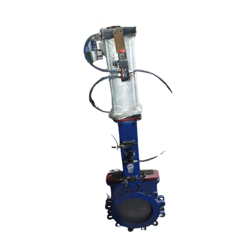 Knife Edge Gate Valve 2